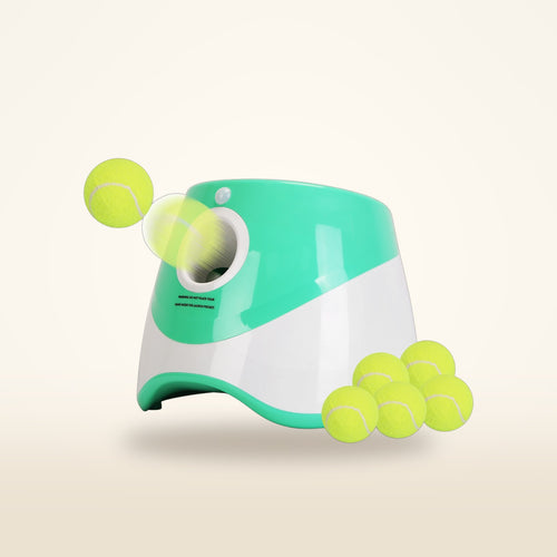 Automatic Ball Launcher